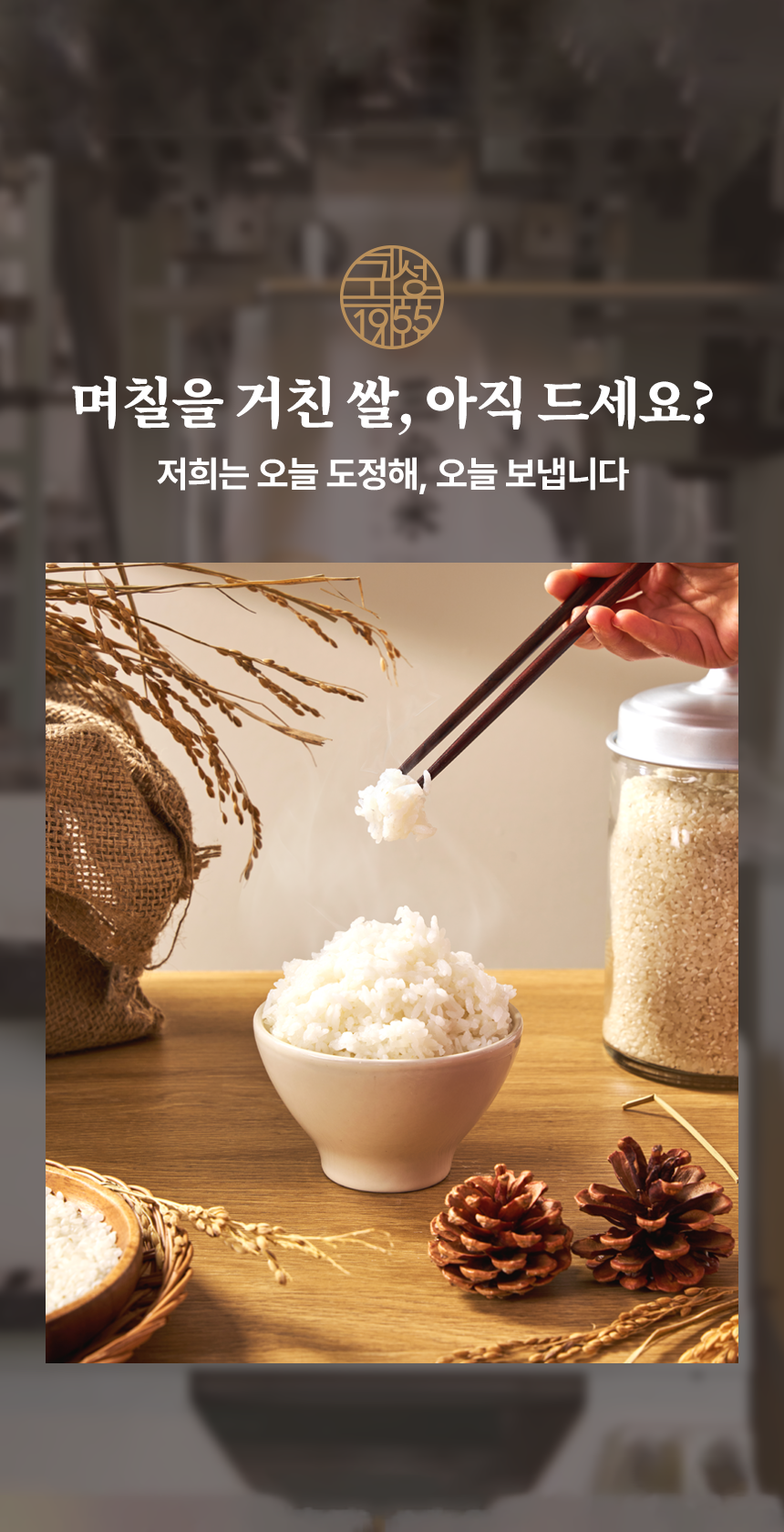 홈페이지썸네일 8